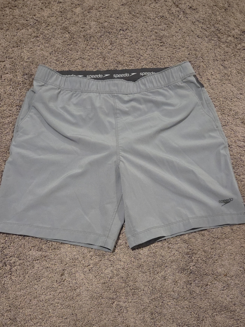 Speedo Men's Gray Performance Swim Shorts